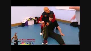 آموزش تمام تکنیکهای دفاع شخصی خیابانی در 118 فایل_09130919448