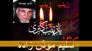 نوحه زینب زینب - سلیم موذم زاده (سنج و طبل) - دیجی تاپ بیست