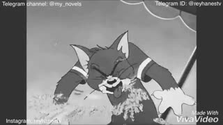 Tom and Jerry music video