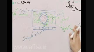 شاخ عول زیست شناسی گیاهی کنکور رو بشکن !!!