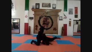 اجرا تکنیک کاتا ماکی توسط شیدوشی ابوذرخواجو