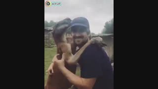 با محبت خارها گل میشوند 