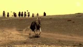 تکرار تاریخ