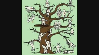 تست شخصیت شناسی(دوست دارین جای کدوم یک از اینا باشین؟؟؟