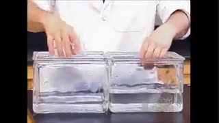 مفهوم تعادل