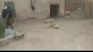 ملادادی  محمد غلامزاده