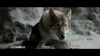 دانلود فیلم آلفا Alpha 2018