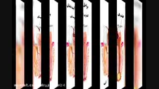 با پیشرفته ترین تکنولوژی روز دنیا همراه با ما باشید