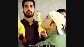 استخدام مرغی