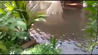 ماهیگیری از خانه با توردیگه از عجایب است لطفا ویدئوی ماهیگیری عجیب از خانه را ملاحظه فرمایید