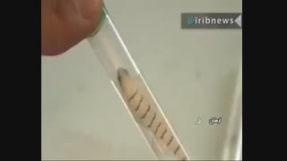 وضع زندگی یک نابغه ایرانی که دانشگاه های معتبر جهان ازش دعوت کردن