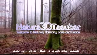 بلیط هواپیما اصفهان کیش