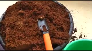 نحوه استفاده از کوکوپیت