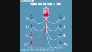 آزمایش ژنتیک