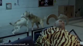 دانلود فیلم کوپال