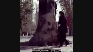 انتخاب زیباترین همسر جهان