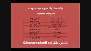 آموزش سرویس سیسمونی