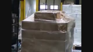 استرچ پالت تمام اتوماتیک