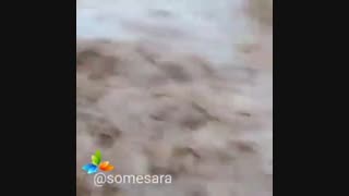 فوری سیل امروز در  اسالم