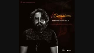 آهنگ جدید سعید محقق به نام دل نکن