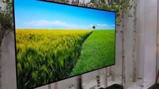 تلویزیون ال جی اولد 77W7V سری W7