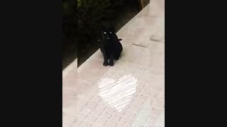 تقاوت فوش خارجى و فارسى:\