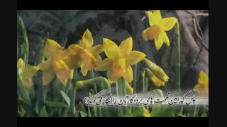 ترجمه تصویری  سوره الرحمن