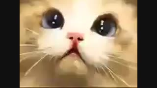 اوضامون جوریه که ... ۱: