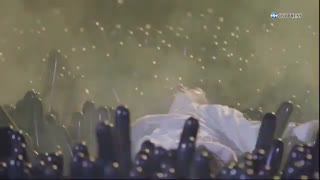 پشت صحنه آهنگ  Electric kiss از EXO