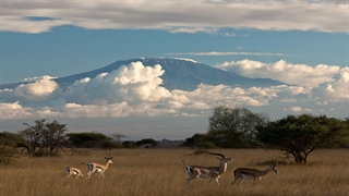 حیات وحش حیرت انگیز آفریقا _قسمت سوم