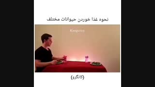 این عالیه. پیشنهاد میکنم.