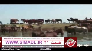 ↓ ساخت ایران 2 ↓ قسمت 21 (کامل) (همراه با چهار کیفیت مختلف)