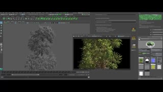 جلوه های ویژه