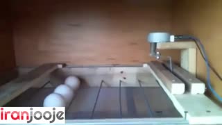 ساخت سیستم چرخش تمام اتوماتیک و 360 تخم نطفه دار