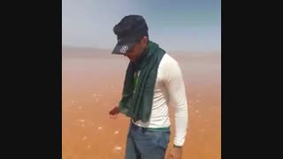 دریاچه نمک صورتی مهارلو۴