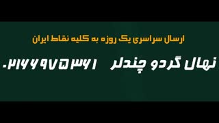 فروش چندلر ژنوتیپ  / 09197722560