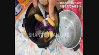 رب گوجه گیر خانگی نوا الکتریک