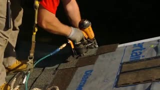 نصب شینگل امریکایی