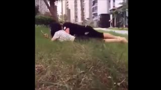 کرکر خنده حمله گاو خنده دار