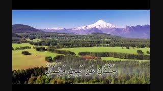 ترجمه تصویری سوره سبا برداشتن خال