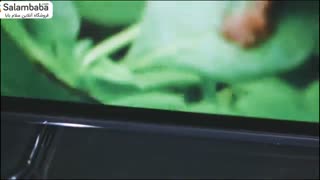 معرفی تلویزیون سونی مدل A1